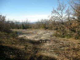 Collsuspina